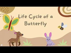 LIfe Cycle of a Butterfly