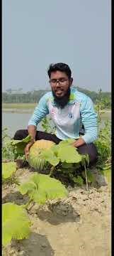 Learn English Step by Step | Easy Speaking Practice for Beginners.