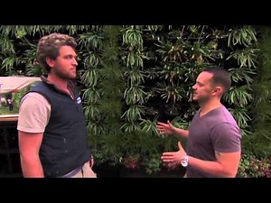 Vertical Garden & Green Wall System - Gro Wall® 4 featured on Healthy Homes Australia