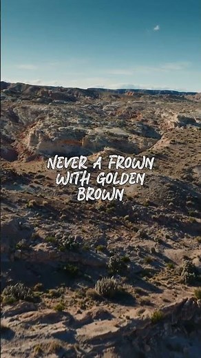 The Stranglers – Golden Brown (lyrics)