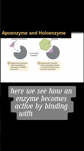 Cofactor and types with diagrams