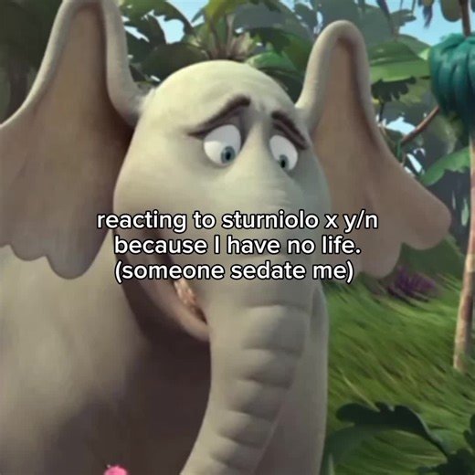 Exploring the Sturniolo Triplets Phenomenon