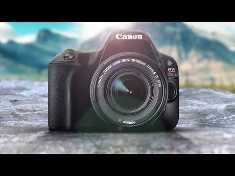 Canon SL2 (200D) Review | Still Worth The Buy in 2020?