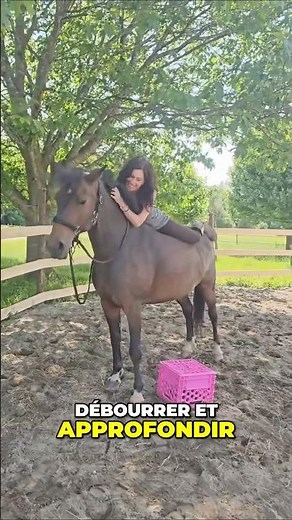 Le (re)Débourrage Éthologique : une formation puissante 🎠 La science du comportement équin