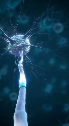 What Is an Axon? | Simple Explanation of How Neurons Send Signals
