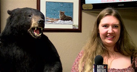 A visit to the Wildlife Museum in Chinook