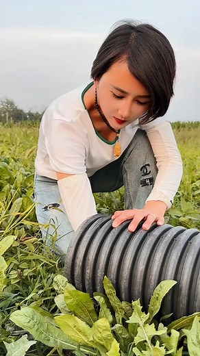 #AdorableRabbit #FatRabbitLove #BunnyCuteness #FluffyFriends #RabbitLife #PetBunny #CuteAnimals #BunnyJoy | Adorable Fat Rabbit
