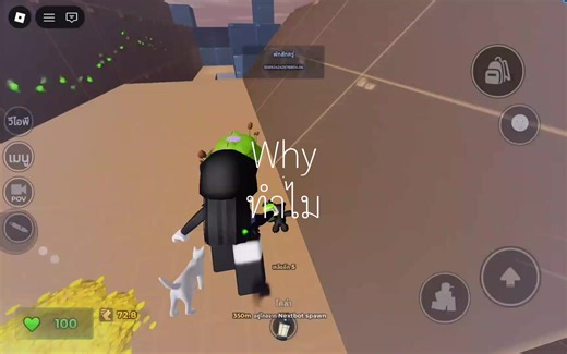 การแก้ไขอีโมทใน Roblox EVADE