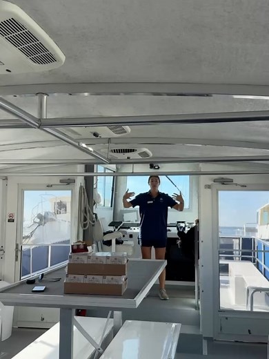 Daniel Island Ferry on Reels