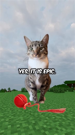 chill ah cat guy dude | larry and stewart loved this toy! use code “05CHILL” to get an extra %5 off! @cheerble_global #larry #sillycats #cattoyball #wickedballduo2 | Instagram