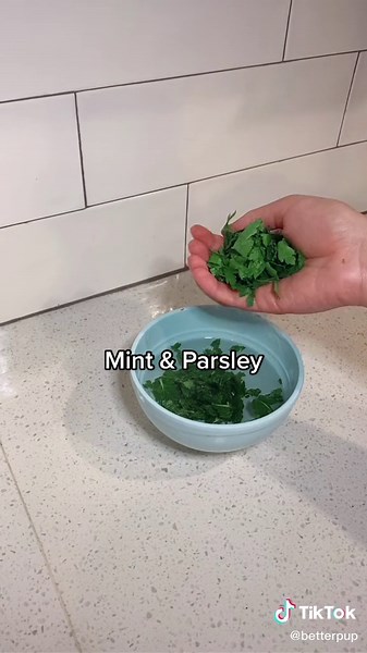 Homemade Doggy Breath Mints Recipe