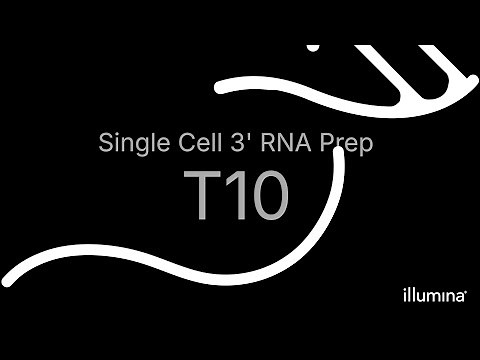 Illumina Single Cell 3' RNA Prep, T10 Workflow