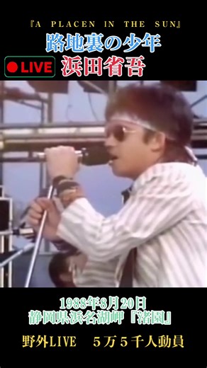 浜田省吾の伝説の野外LIVE 1988