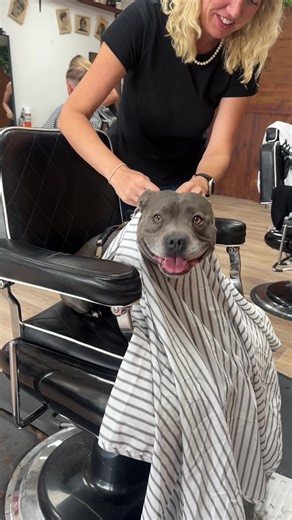 Short back and sides again, sir? ✂️