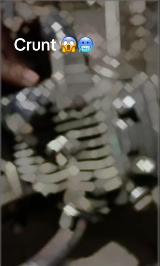 Introducing the Unique Crunt Model for 2023