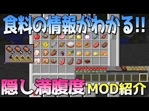 【MOD紹介】隠し満腹度が目に見える！【Minecraft】AppleSkin Mod