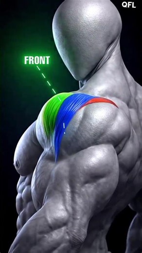 Shoulder workout build strength and mass try this ?