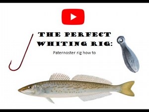The perfect whiting rig: How to catch whiting