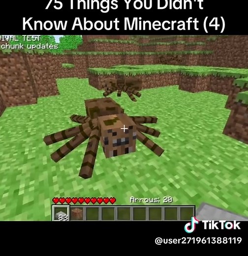 75 Minecraft Facts You Probably Didn't Know