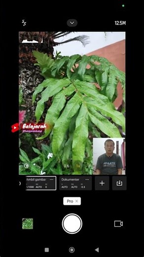 Custom Settings for Documentary Camera in Pro Mode #tutorial