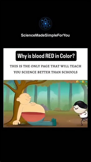 Science | Tech | History | Future on Instagram: "The crimson hue of our blood is attributed to the presence of hemoglobin, a protein found within red blood cells. Hemoglobin contains iron, which readily binds with oxygen to form oxyhemoglobin, imparting a vibrant red coloration to the blood. Conversely, blood with reduced oxygen saturation exhibits a darker red appearance. Therefore, the characteristic red color of blood originates from the iron-oxygen interaction within hemoglobin, a crucial pr