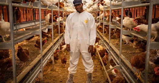 Episode 4, Season 1<br> The Replacements