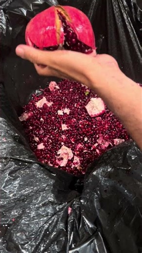 How to deseed a pomegranate tutorial