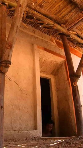 Jungle House Build | Watch It Transform Before Your Eyes!