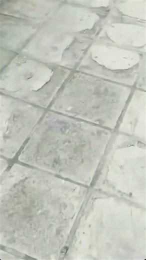 345K views · 12K reactions | Dodge Scatpack 392 on AirLift Performance Best edits by @editsbyjdm_ #bagged #scatpack #hellcatredeye #hellcat #srt #dodge #mopar #rideid #airsuspension #challenger #charger #hemi #demon #musclecar #dodgedemon #airlift #airliftperformance | scatpack_bee | Facebook