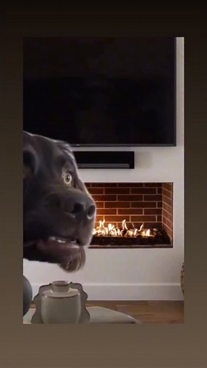 Best use of this sound 😍😍😍😍🤷🏻‍♂️🤷🏻‍♂️🤷🏻‍♂️😂😂😂😂 | The Official Gay Guy