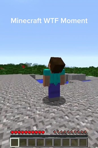 Minecraft WTF Moment C: Not Safe #minecraft #fyp