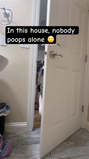 Privacy? Not today. We poop as a team 🚽🐾