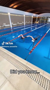 Fun fact: Swimming 1km is like running 5km—but way cooler (literally). 🏊‍♂️❄️ Good thing the Arena Men's Aquaventure Wetsuit (005855) has your back for those chilly night practices! 💪🔥 Just go to our website and look up product code 005855 to direct you to the products! Shop now at swim2000.com -with our discounted products, you’re guaranteed the best deals! Don’t miss out—visit our online store today! Huge shoutout to Simona Savastita for this educational video! #Swim2000 #DiveInWithSwim2000