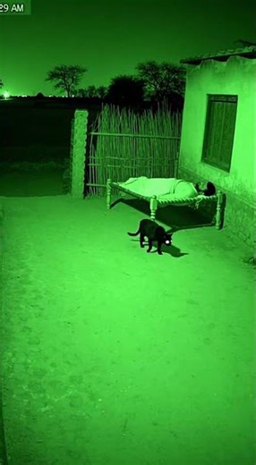 Horror CCTV Footage That Police Can’t Explain