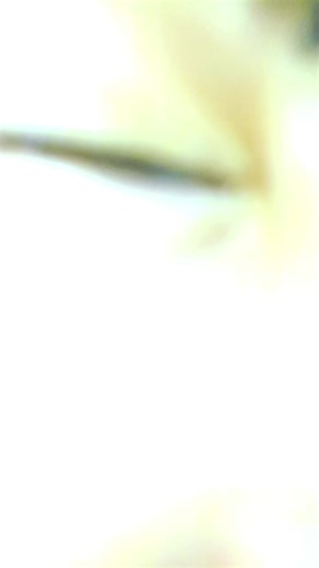 Videos de Mía devany (@devany1763) con “Original Sound - Unknown”