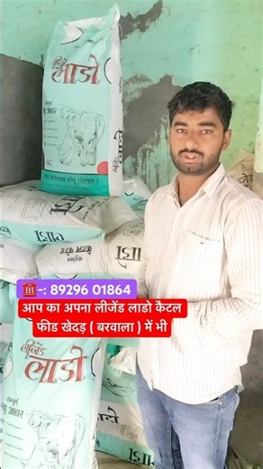 खेदड़ बरवाला में भी लीजेंड लाडो फीड उपलब्ध #murrah #cow #viral #trending