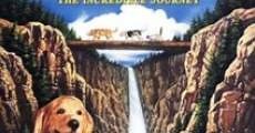 Homeward Bound: The Incredible Journey (1993) - Online Movie