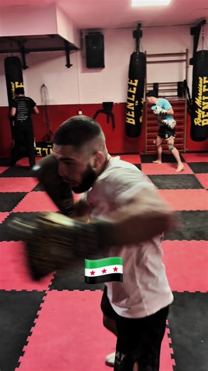 Understanding Syria: Culture and Resilience