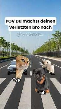 Folgt für mehr 😂#katze #katzen #katzenvideos
