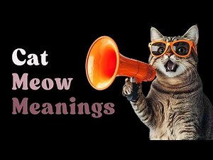 9 SOUNDS Cats Make and WHAT They MEAN