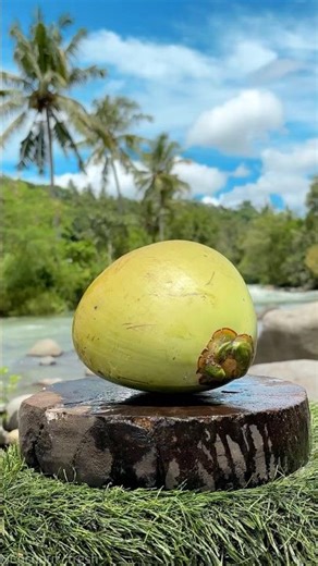 Green Coconut Delivered Fresh from the Farm