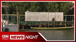 Bulacan locals join SMC in Mangrove planting