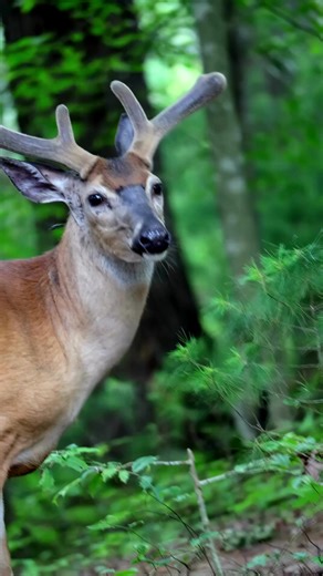 15K views · 119 reactions | I swear it looks like he inhaled then...