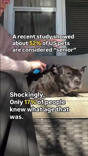 When a pet is considered senior varies based on species and size