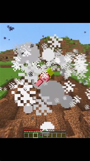 Minecraft Crazy Commands Moment 💀