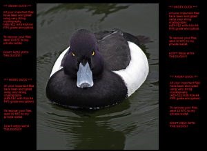 Remove Angry Duck Ransomware and Restore .adk Files
