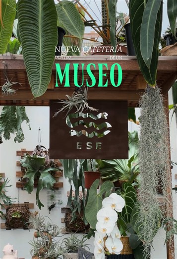 Cafetería ESE en el Museo AMANO de Lima