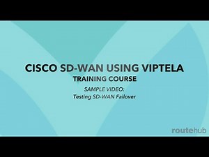 CISCO SD-WAN USING VIPTELA TRAINING COURSE | SAMPLE VIDEO