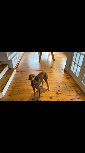 Closed from 2:45 to 3:45 today. Thank you for understanding. | String Theory Music