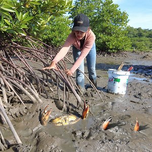4.5K views · 216 reactions | Catching MONSTER Mud Crabs by Hand – No Fear Challenge! #MudCrabCatch #CrabFishing #MudCrabHunting #CatchAndCook #FishingLifestyle #LowTideFishing #CrabCatchTips | Nit Lifestyle | Facebook